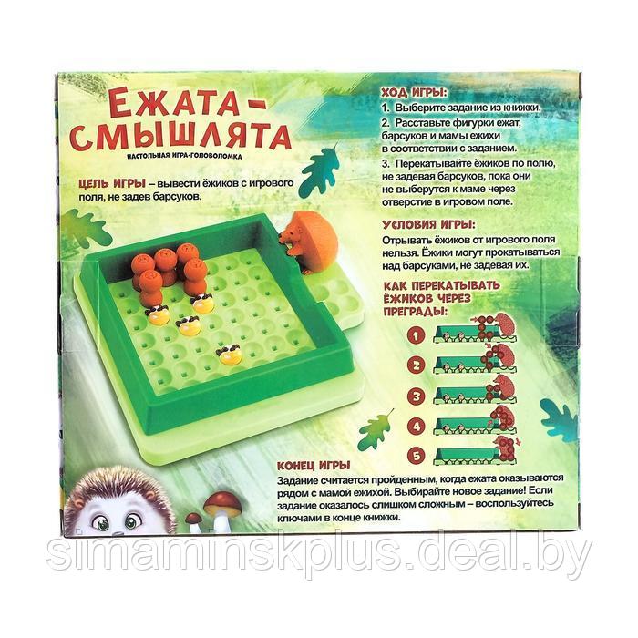 Настольная игра головоломка «Ежата-смышлята», задания с ответами, 5 уровней сложности - фото 6 - id-p200358522