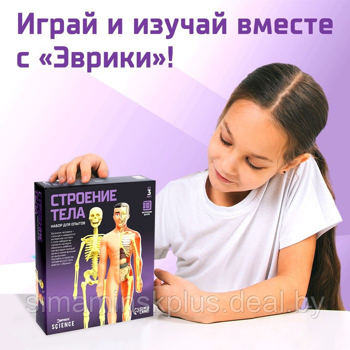 Набор для опытов «Строение тела», анатомия человека - фото 5 - id-p200359406