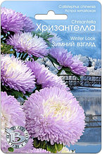 Астра китайская Хризантелла ЗИМНИЙ ВЗГЛЯД