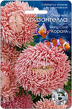 Астра китайская Хризантелла КОРАЛЛ
