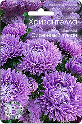 Астра китайская Хризантелла СИРЕНЕВЫЙ ТУМАН Биотехника