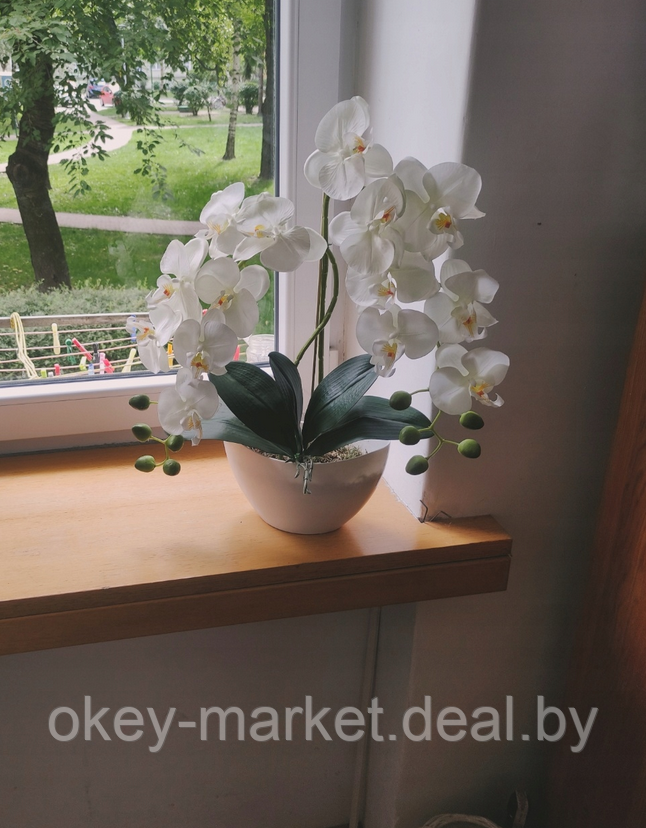 Цветочная композиция из орхидей в горшке 2 ветки D-563 - фото 6 - id-p144878802