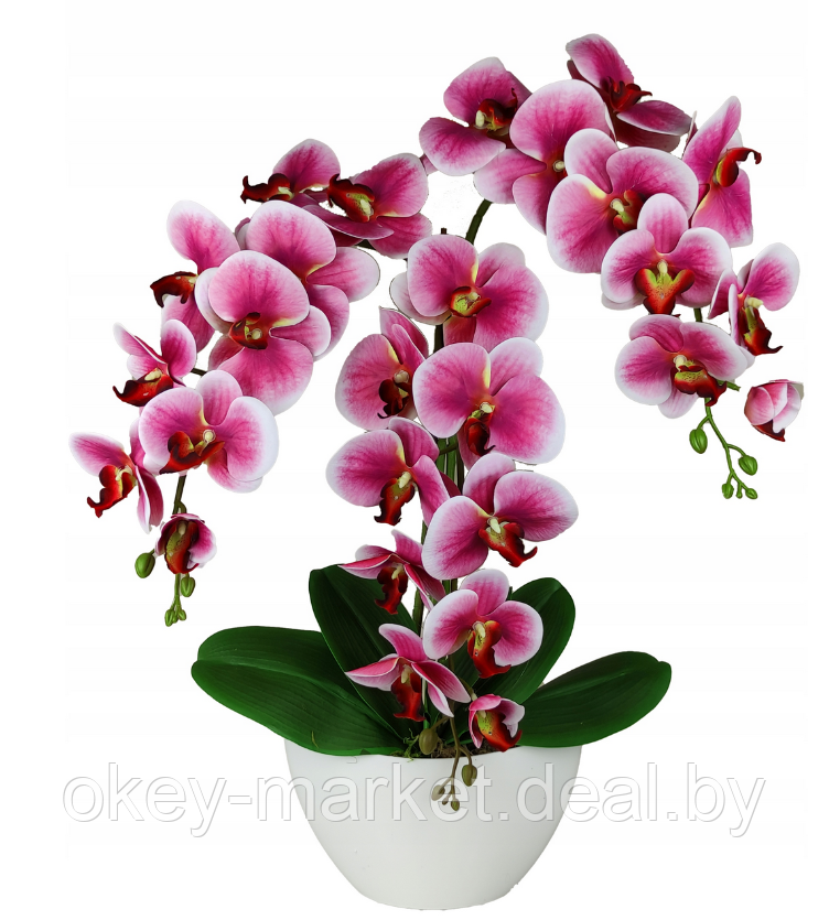 Цветочная композиция из орхидей в горшке 3 ветки D-564, фото 2