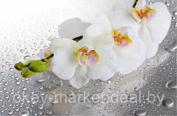 Цветочная композиция из орхидей в горшке 3 ветки D-564, фото 3