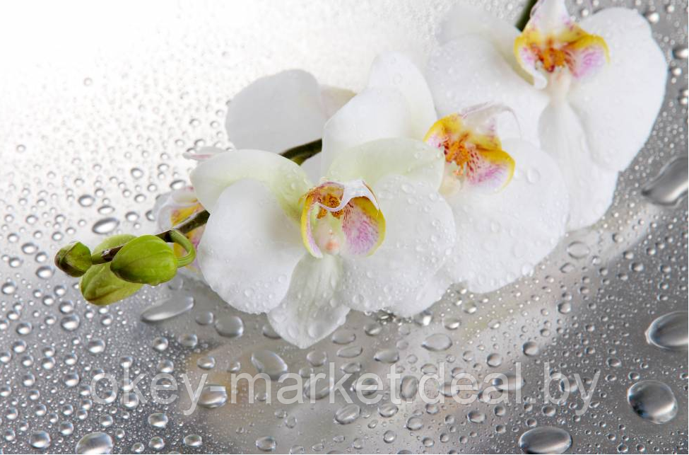 Цветочная композиция из орхидей в горшке 3 ветки D-564 - фото 3 - id-p144877607