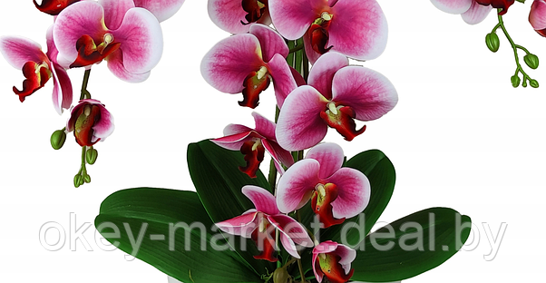 Цветочная композиция из орхидей в горшке 3 ветки D-564, фото 2