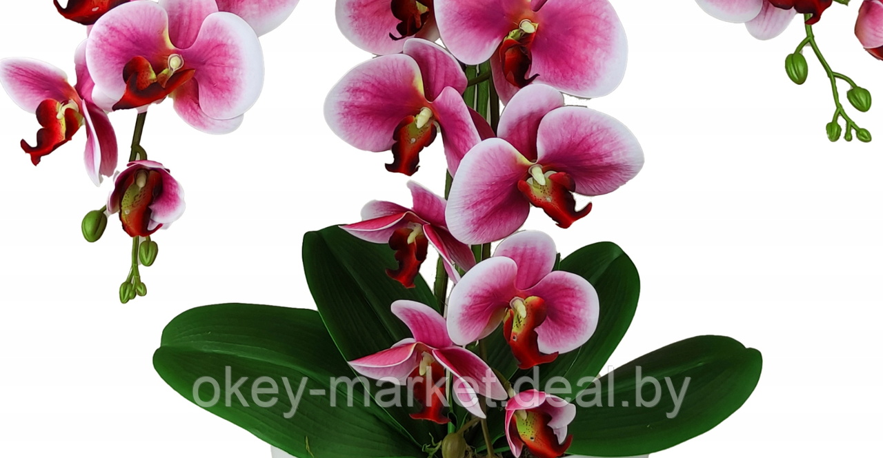 Цветочная композиция из орхидей в горшке 3 ветки D-564 - фото 2 - id-p144877607