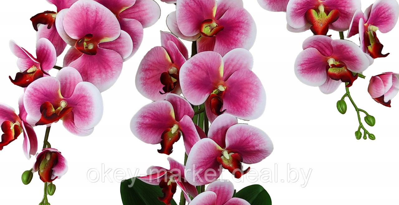 Цветочная композиция из орхидей в горшке 3 ветки D-564 - фото 4 - id-p144877607