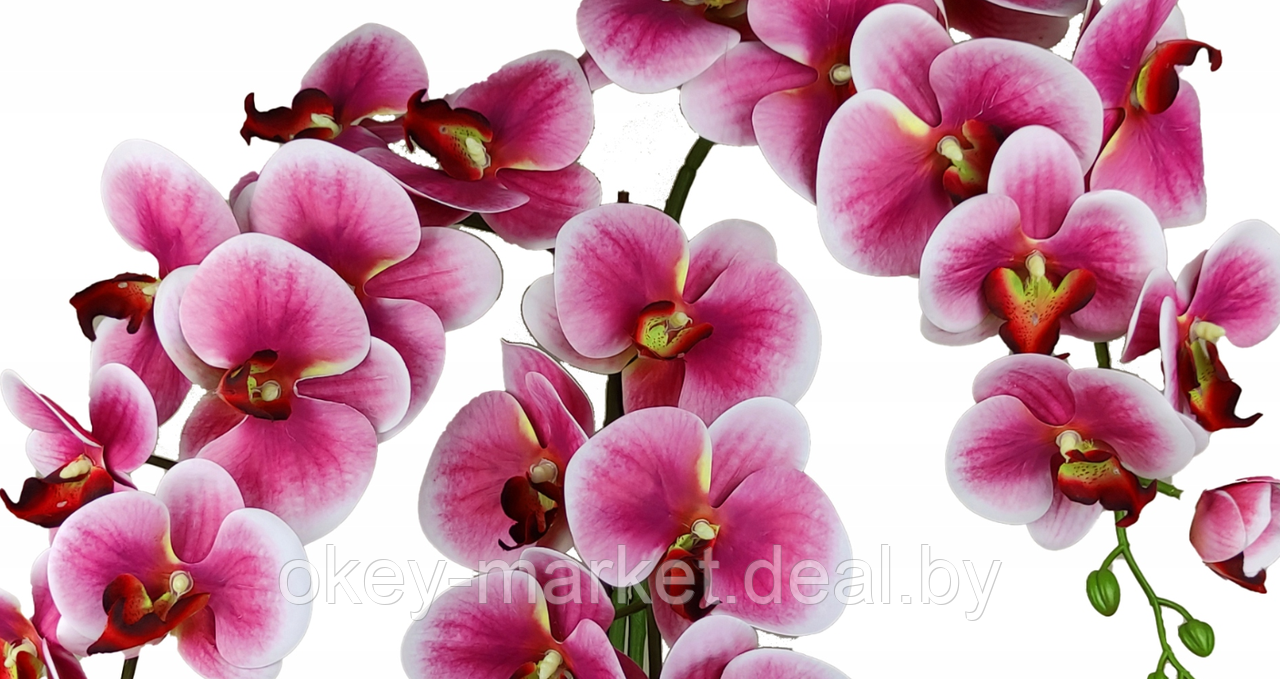 Цветочная композиция из орхидей в горшке 3 ветки D-564 - фото 5 - id-p144877607