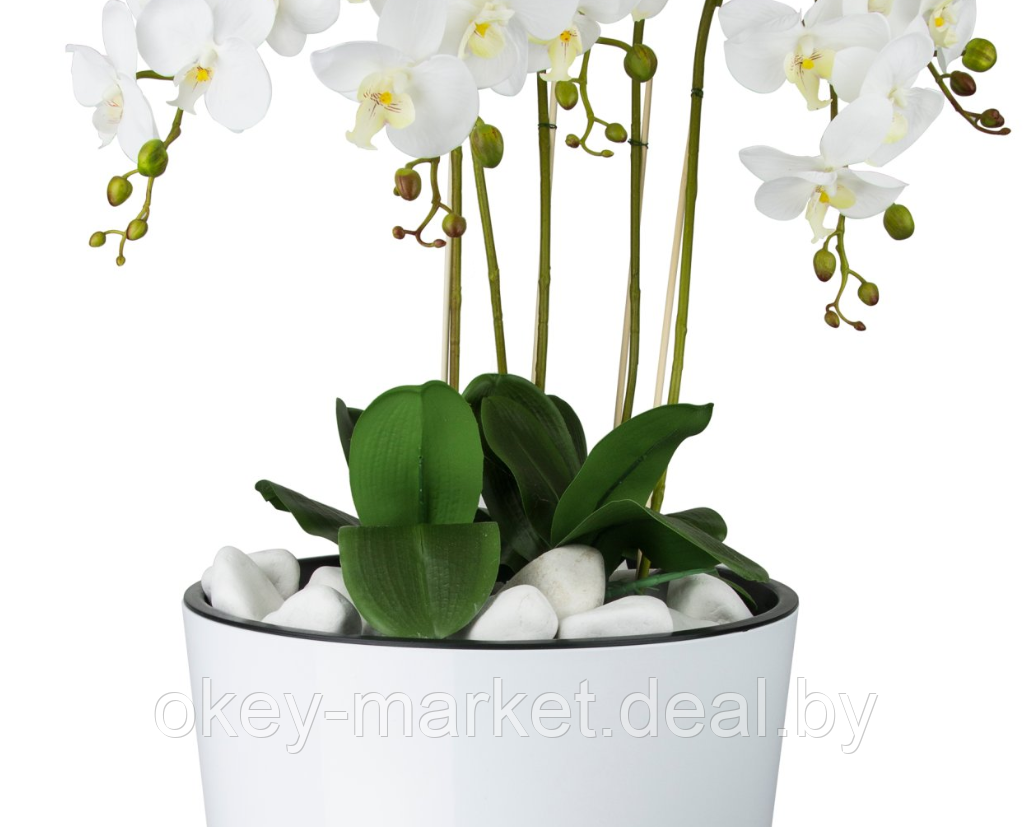 Цветочная композиция из орхидей в горшке 135 см - фото 4 - id-p63888537
