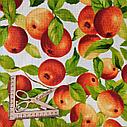Ткань 100% Хлопок Вафельное Полотно "Яблоки", фото 3