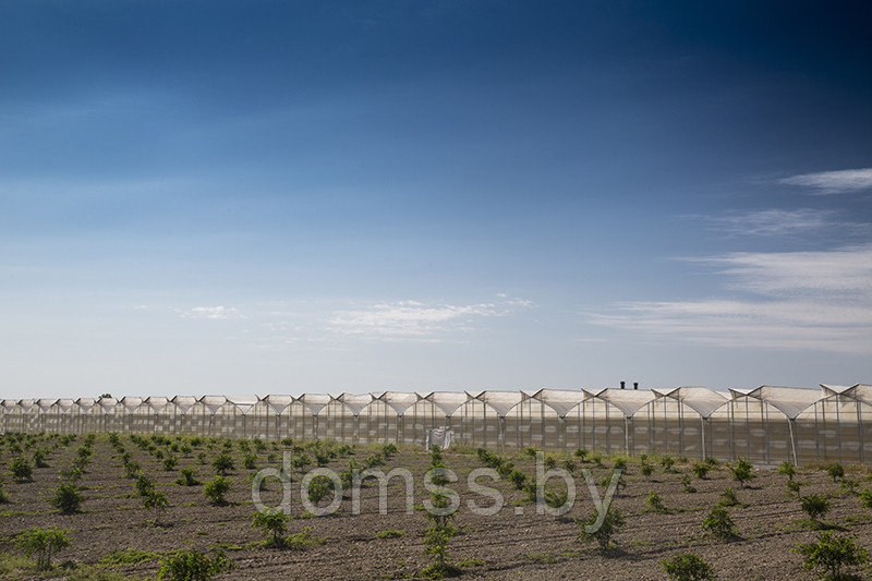 Пленка многолетняя тепличная 120 мкм 6*70м Vatan (Турция) Profi