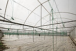 Пленка многолетняя тепличная 120 мкм 6*70м Vatan (Турция) Profi, фото 3