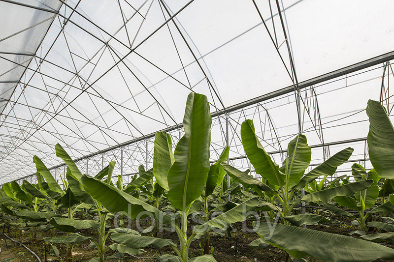 Пленка многолетняя тепличная 150 мкм 6*50м Vatan (Турция) Profi