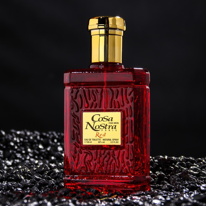 Туалетная вода мужская Cosa Nostra Red Intense Perfume, 100 мл - фото 4 - id-p176661932