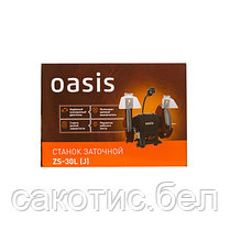 Заточный станок Oasis ZS-30L, фото 3