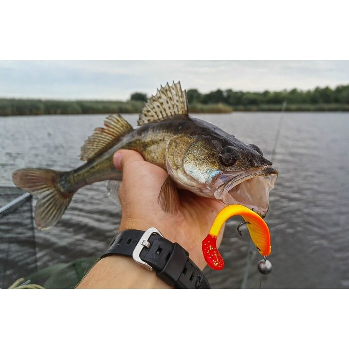 Виброхвосты LJ 3D Series RED TAIL SHAD 3.5in (08.90)/PG03 5шт. - фото 3 - id-p168576191