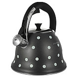 Чайник со свистком 2.5 л  Kamille KM-1099, фото 3
