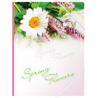 Папка на резинке Berlingo "Spring Flowers" А4, 550мкм, рисунок ANp_01431, РФ