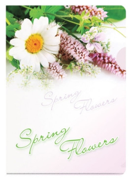Папка-уголок Berlingo "Spring Flowers", А4, 180мкм