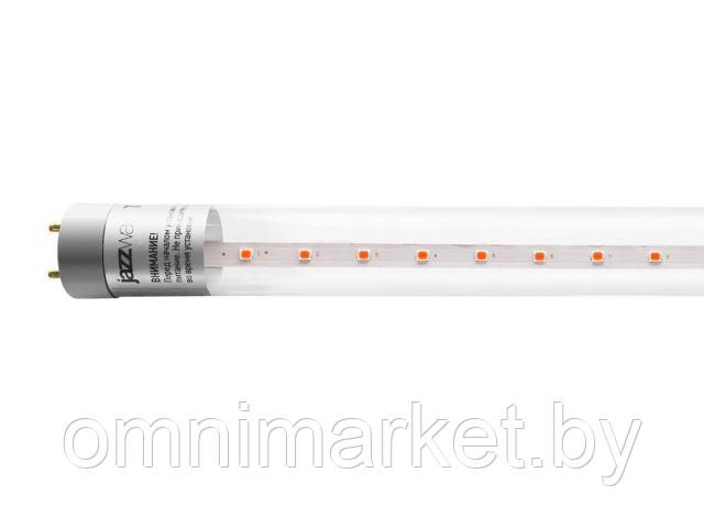 Лампа PLED T8-600 8 Вт для растений AGRO G13 CL JAZZWAY (для растений, цвет свечения: красный 650 нм, синий - фото 1 - id-p200226168