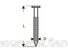 Гвозди для GSN 90-21 RK SN21RK 75RHG (3000шт) (BOSCH)