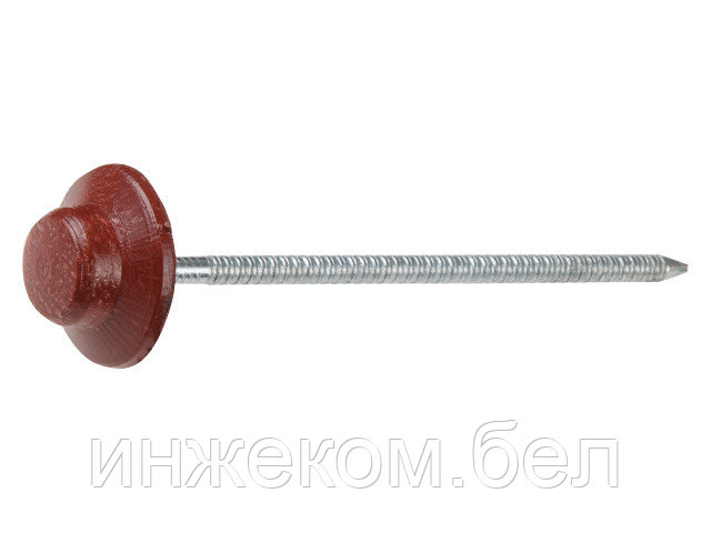 Гвоздь для битумного еврошифера 2.5х70 красный круглый (100 шт в упак) (STARFIX) - фото 1 - id-p200549296