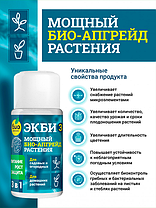 Биопрепарат ЭКБИ 3 для садовых, огородных и домашних растений, 50мл., фото 2