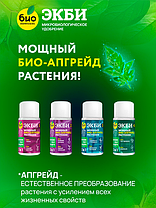 Биопрепарат ЭКБИ 3 для садовых, огородных и домашних растений, 50мл., фото 3