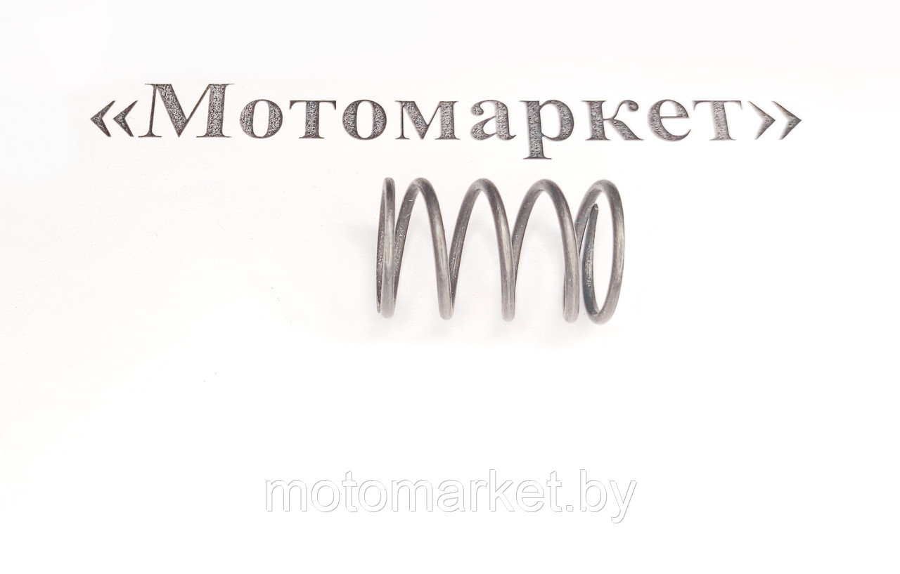Пружина клапана GX160, GX200, 168F, 170F