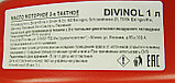 Масло двухтактное для бензопил Divinol (1 литр), фото 2