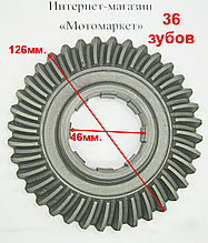 Шестерня ведомая 36 зубов редуктора к культиватору, мотоблоку.