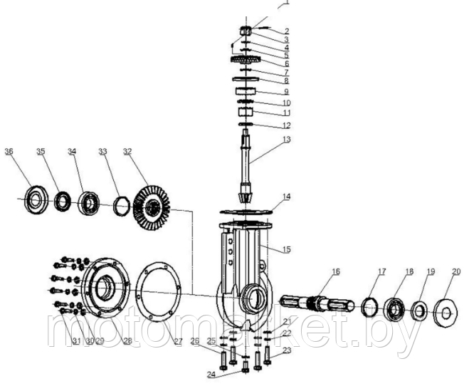 Шестерня вала вторичного КПП к культиватору FERMER FM702 . - фото 2 - id-p75949305