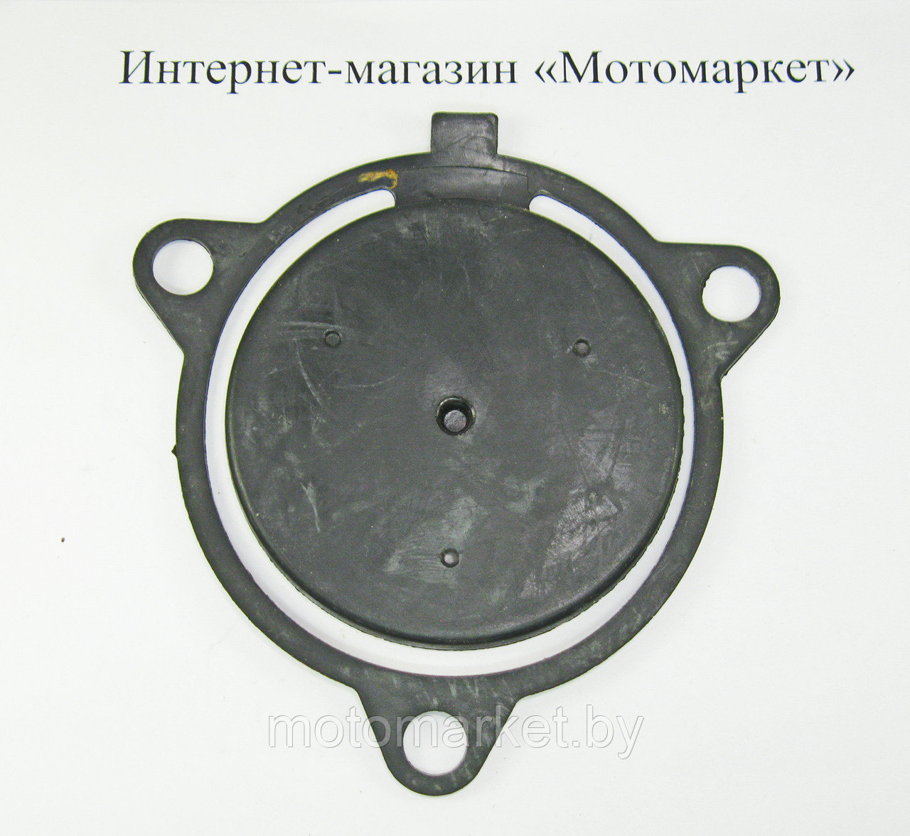 Обратный Клапан Мотопомпы Фубаг 1800 Спб Купить