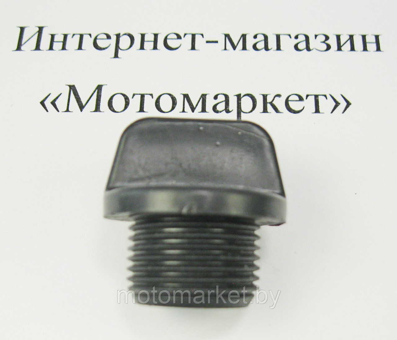 Пробка мотопомпы WP 20.