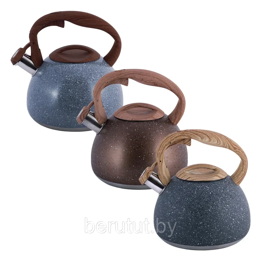 Чайник со свистком 2.8 л Kamille KM-0699