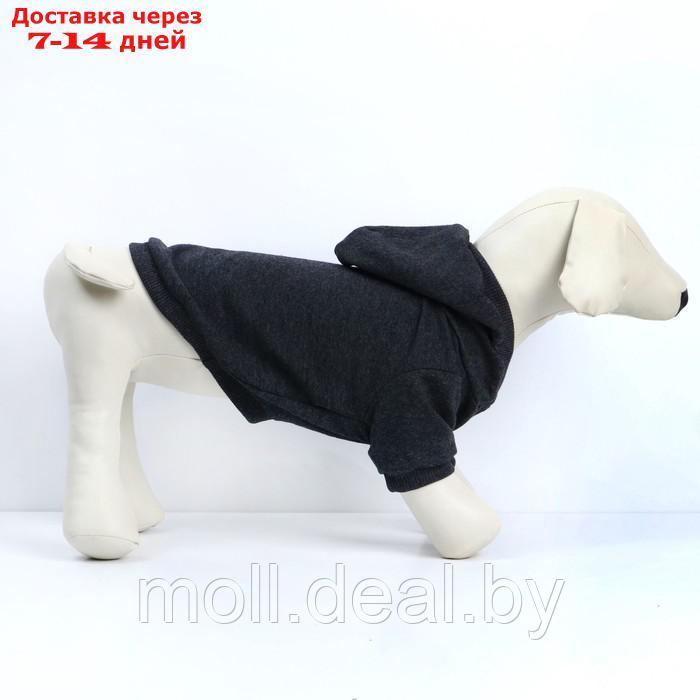 Толстовка для собак(футер петля двунитка) М Серый - фото 6 - id-p200532314