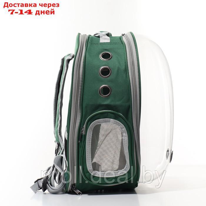 Прозрачный раскладывающийся рюкзак для животных, 33*28*42 см, зеленый - фото 4 - id-p200532319