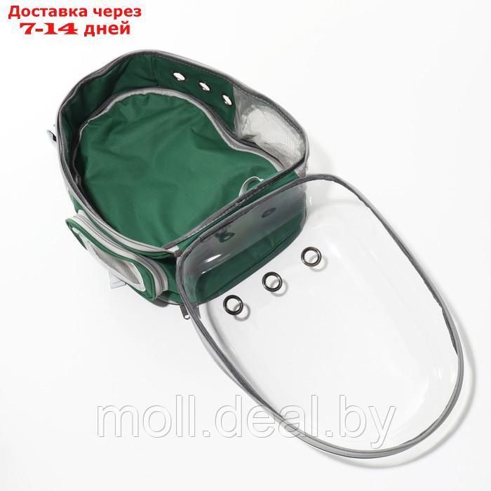 Прозрачный раскладывающийся рюкзак для животных, 33*28*42 см, зеленый - фото 7 - id-p200532319