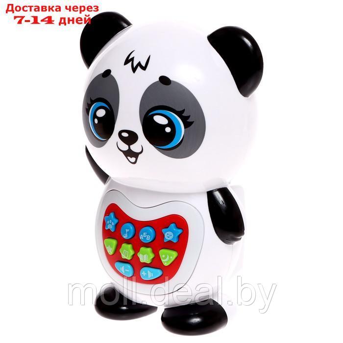 Музыкальная игрушка "Любимый дружок: Панда", звук, свет, цвет белый - фото 2 - id-p200533732