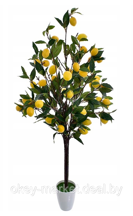 Дерево искусственное декоративное Лимон 120 см - фото 4 - id-p119384256