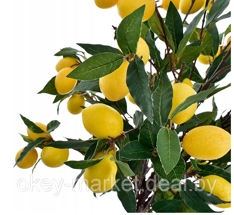 Дерево искусственное декоративное Лимон 120 см - фото 8 - id-p119384256
