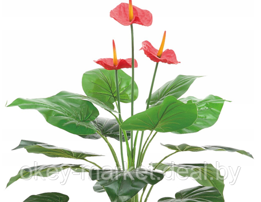 Искусственное растение / Антуриум 90 см, фото 3