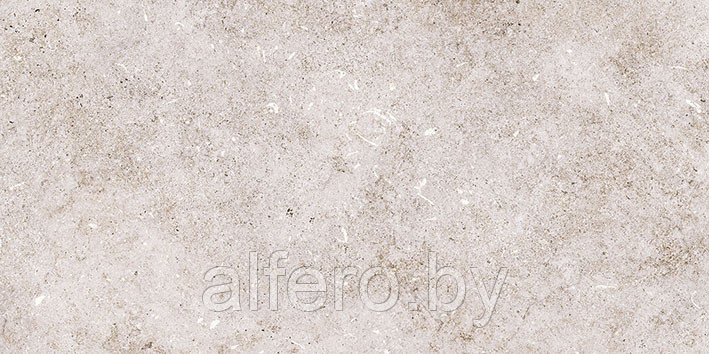 Керамическая плитка Болонья 1 600х300 серый Керамин - фото 5 - id-p200627657