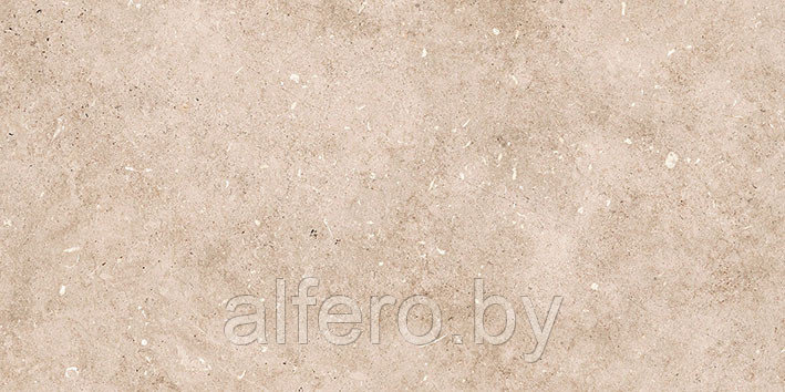Керамическая плитка Болонья 3 600х300 бежевый Керамин - фото 7 - id-p200627658