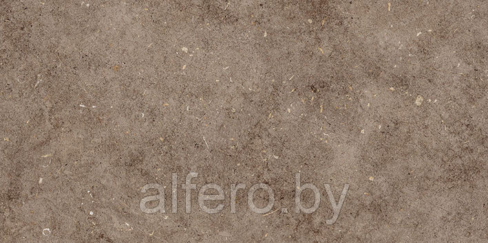 Керамическая плитка Болонья 4 600х300 коричневый Керамин - фото 1 - id-p200627659