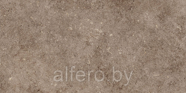 Керамическая плитка Болонья 4 600х300 коричневый Керамин - фото 2 - id-p200627659