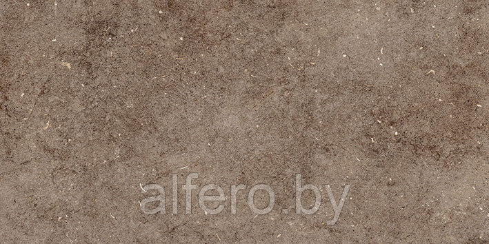 Керамическая плитка Болонья 4 600х300 коричневый Керамин - фото 3 - id-p200627659