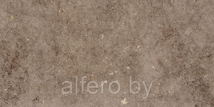 Керамическая плитка Болонья 4 600х300 коричневый Керамин - фото 4 - id-p200627659