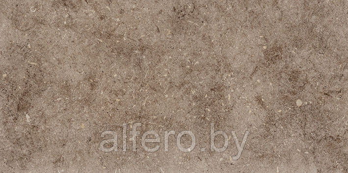 Керамическая плитка Болонья 4 600х300 коричневый Керамин - фото 5 - id-p200627659